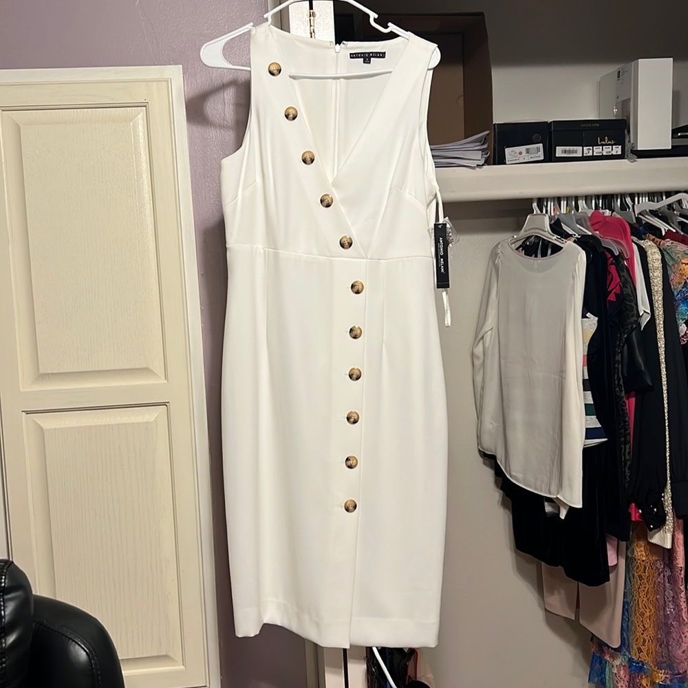 NWT Antonio Melani button dress